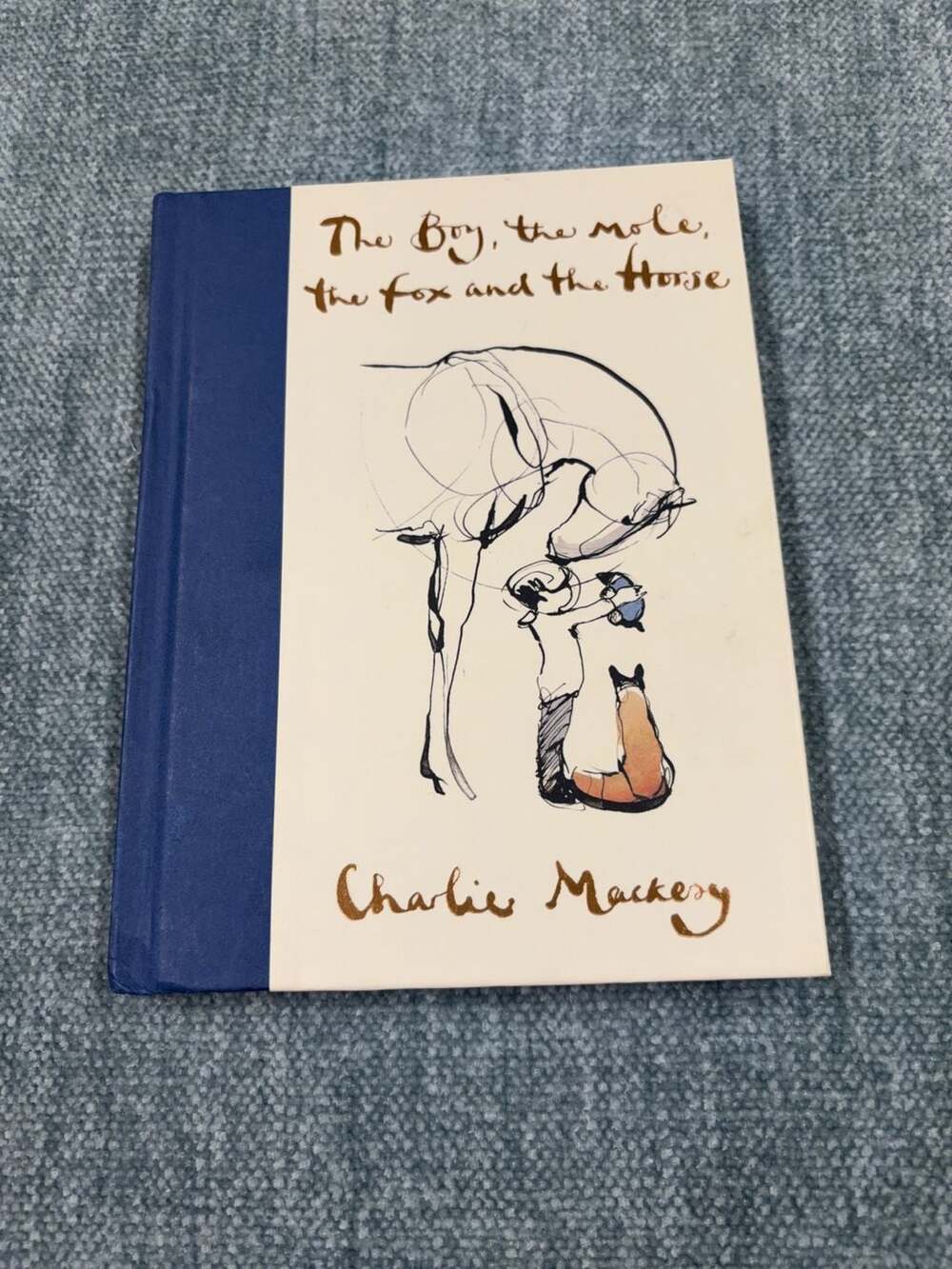 The Boy, the Mole, the Fox and the Horse by Charlie Mackesy Hardcover